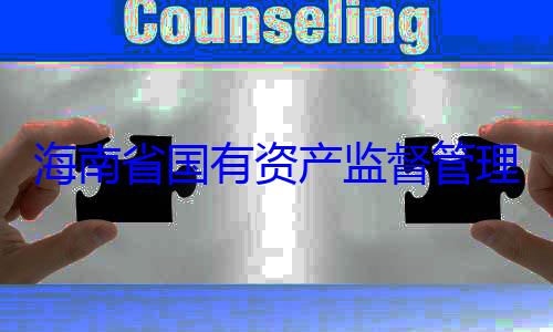 海南省国有资产监督管理委员会党有福接受审委副书记王查调查